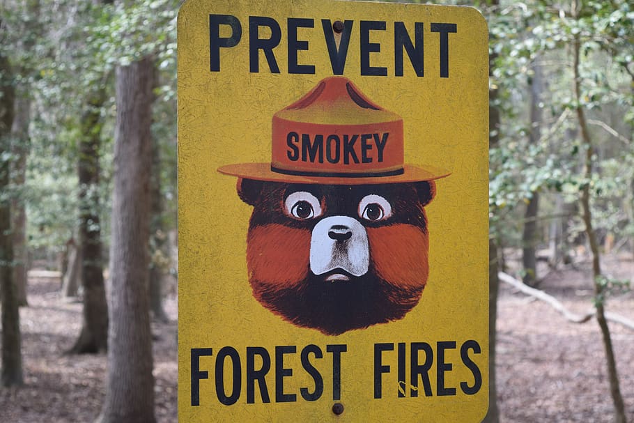 sign, forest, woods, smokey, bear, fire, fires, signs, safety, HD wallpaper