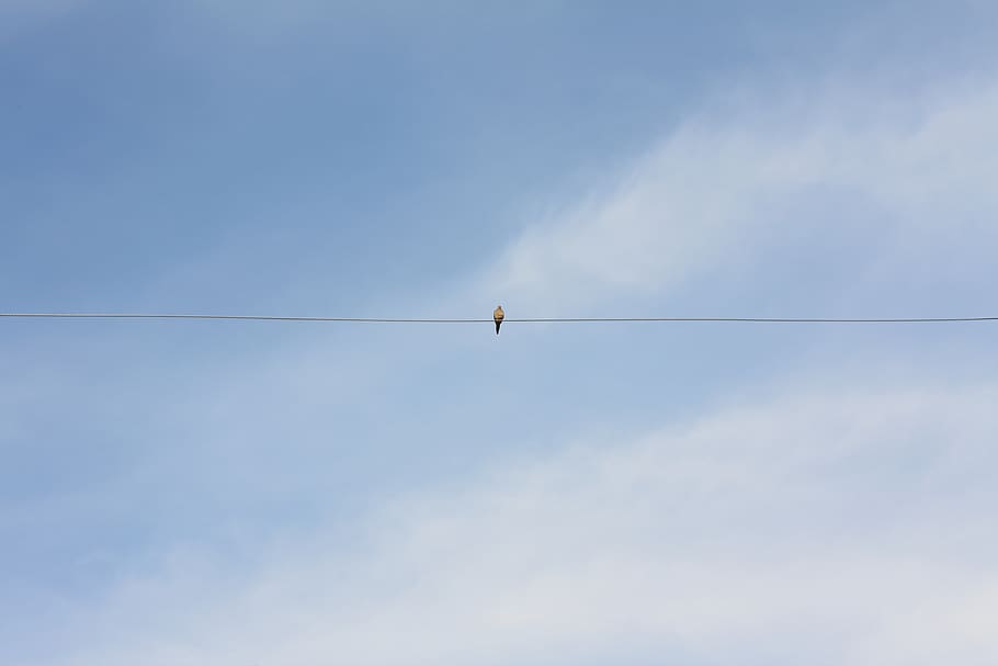 wallpaper, blue, sky, sitting, quiet, lone, alone, clouds, wire HD wallpaper