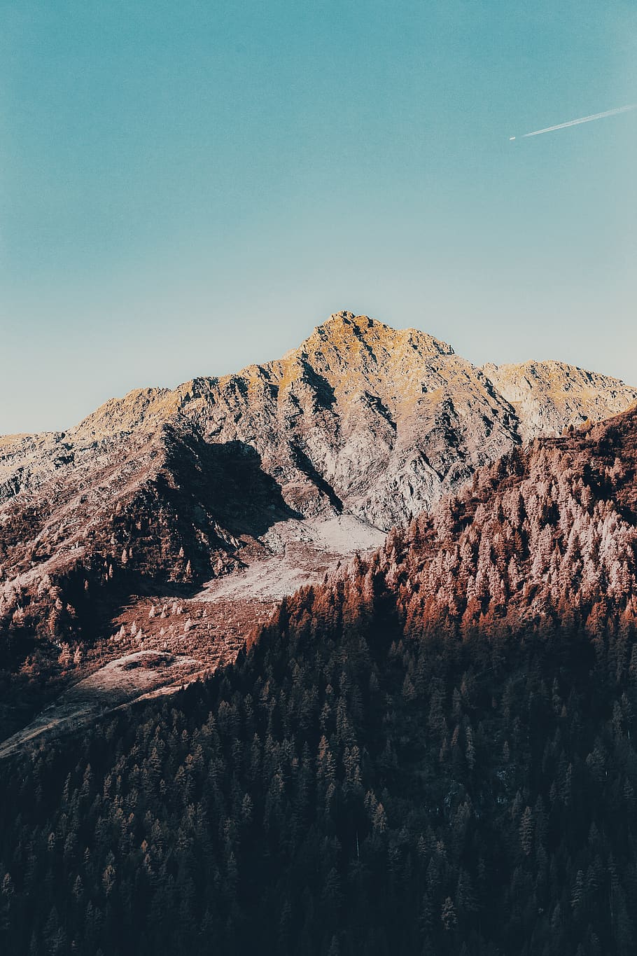 Pine Trees And Mountains, environment, landscape, nature, rocky mountain HD wallpaper