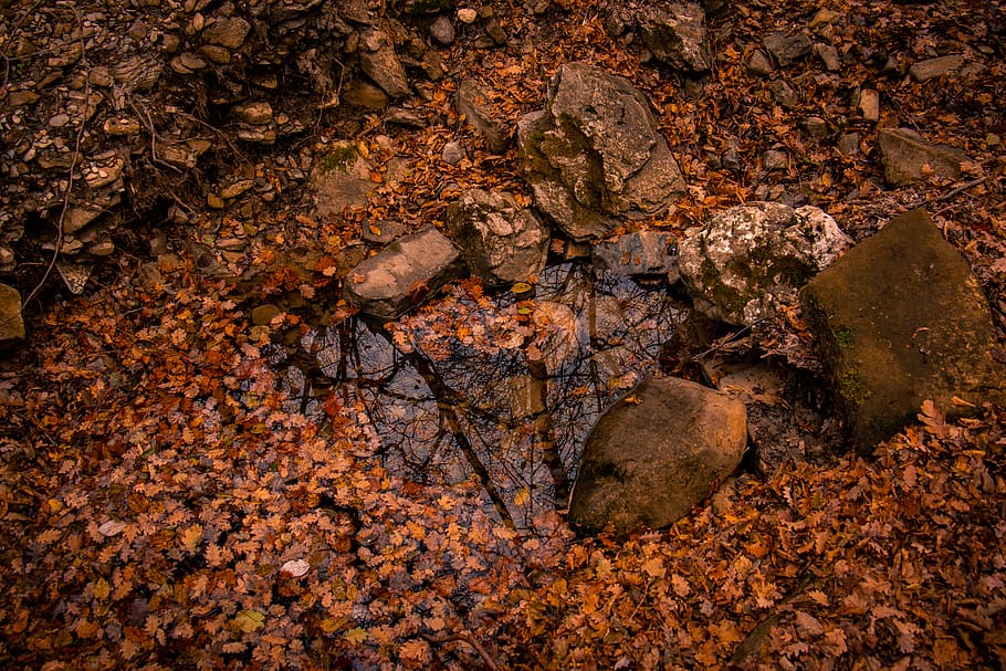 brown stones, leaf, nature, rock, plant part, solid, no people HD wallpaper