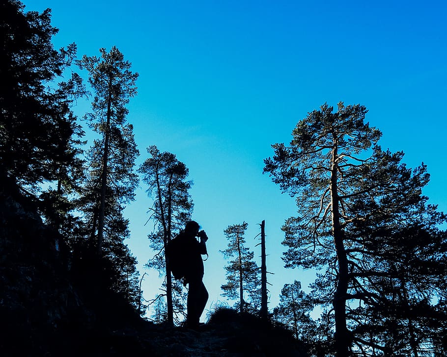 austria, hochunnutz, tree, plant, sky, land, real people, lifestyles HD wallpaper
