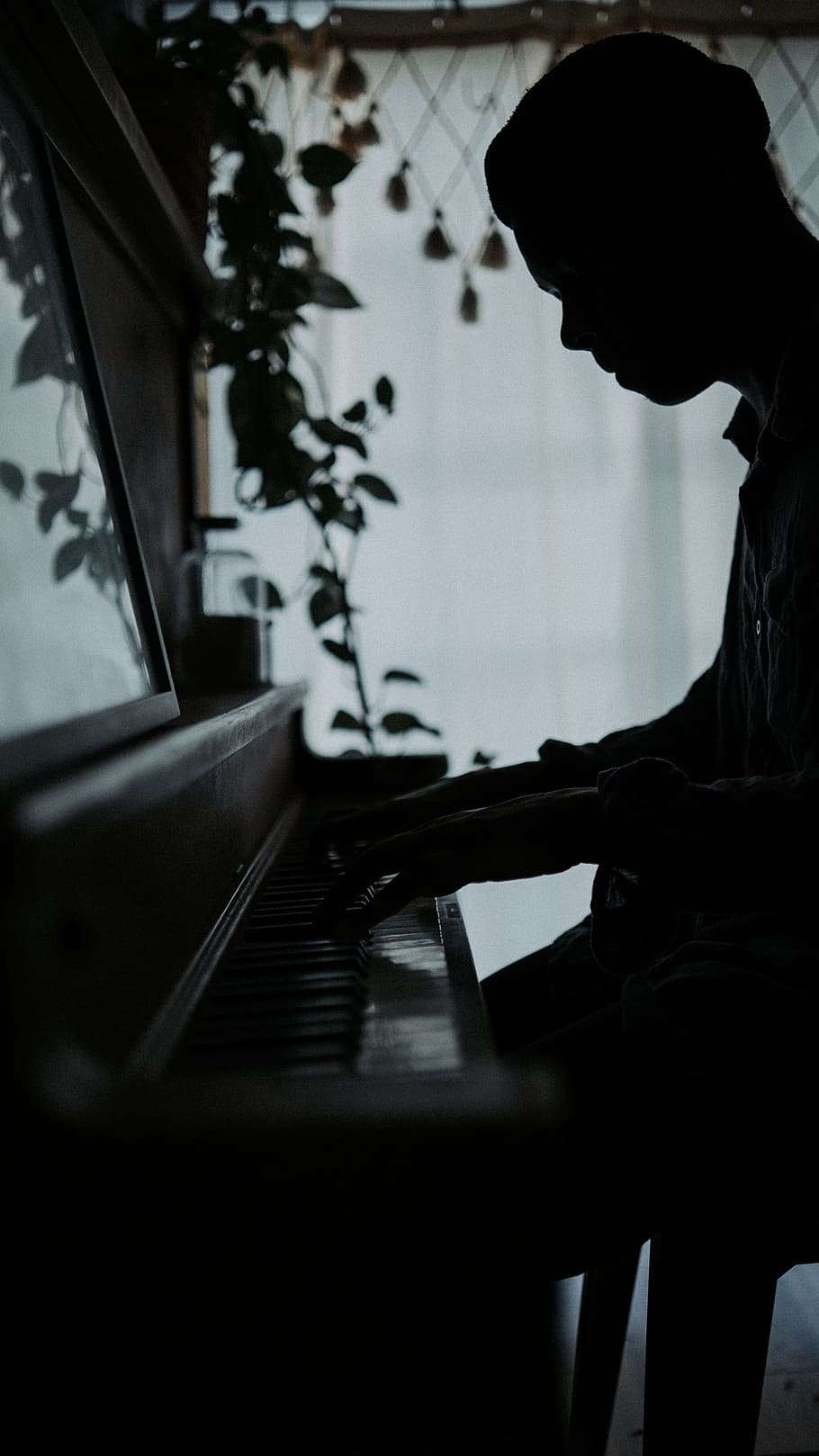silhouette, musician, piano, light, key, organ, keys, playing piano, HD wallpaper
