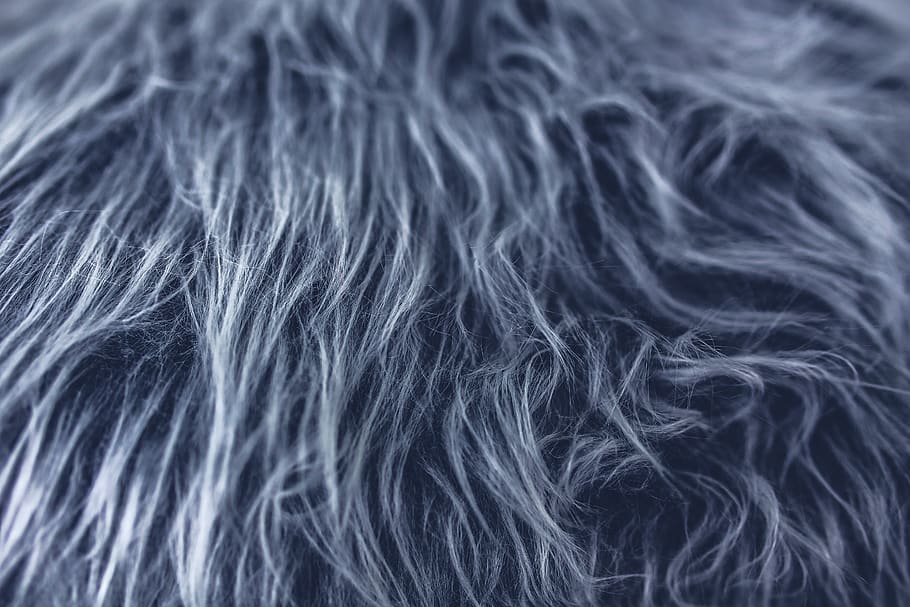 Gray fur, grey, texture, hair, backgrounds, human hair, full frame HD wallpaper