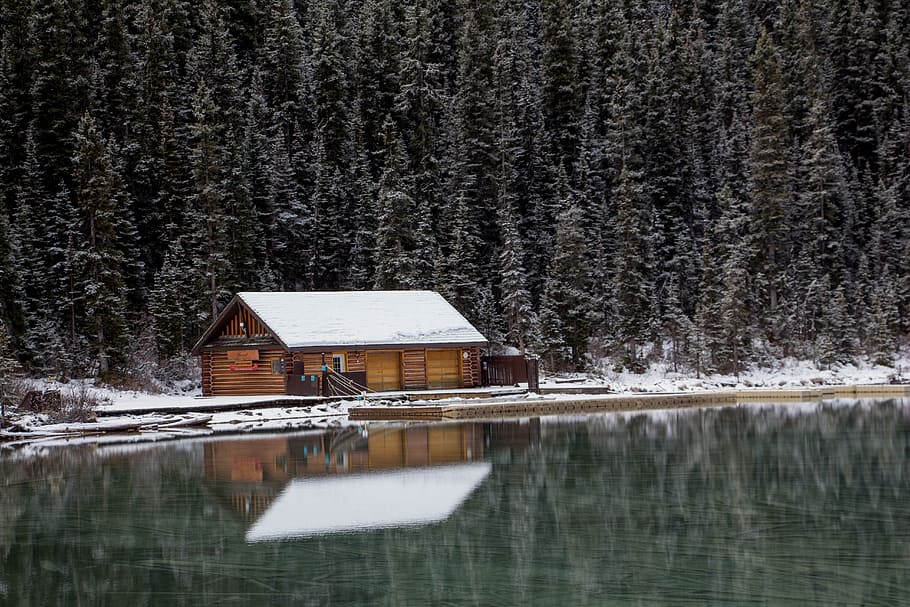 brown wooden house near trees and body of water, reflection, cabin HD wallpaper