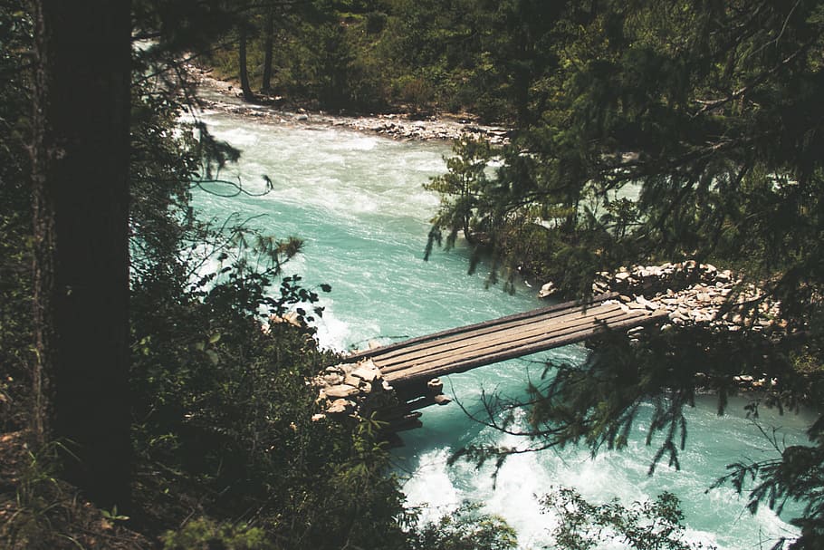 Bridge over the River Near Trees, adventure, daylight, environment HD wallpaper
