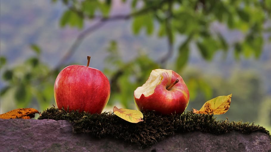 Free Download Hd Wallpaper Apple Two Para Red Healthy Delicious Autumn Apples Fruit