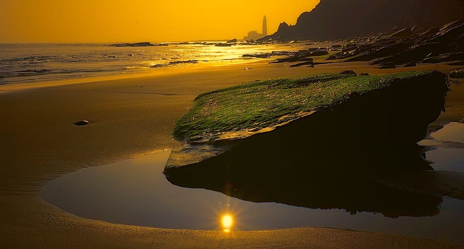 Photo Of Seashore During Sunset, beach, dawn, moss, mossy rock HD wallpaper