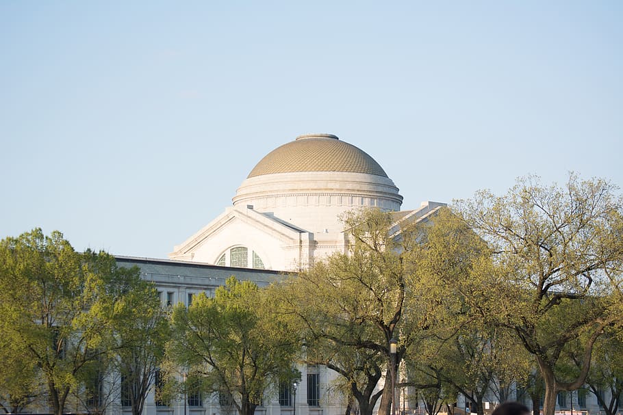 building, dome, architecture, planetarium, tree, observatory HD wallpaper