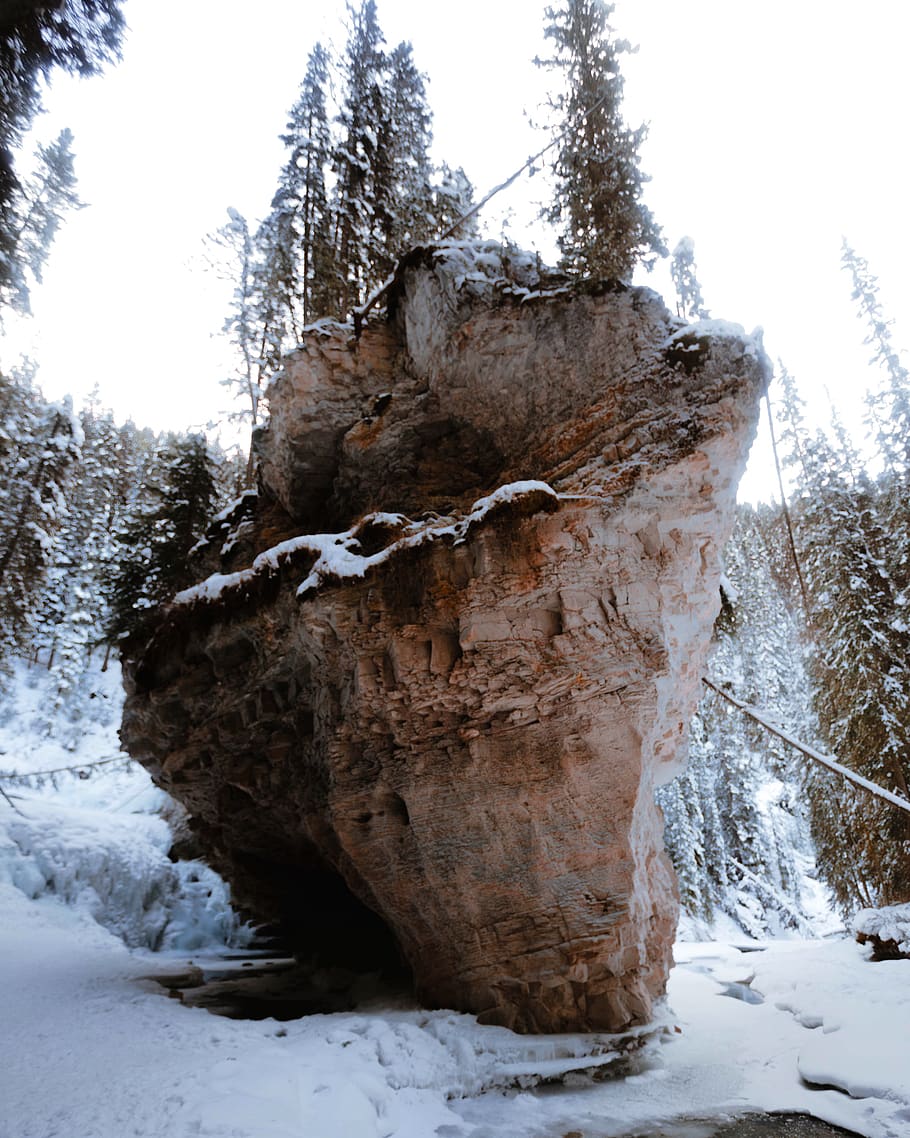 mountain, canyon, winter, trees, rock, earth, water, creek HD wallpaper