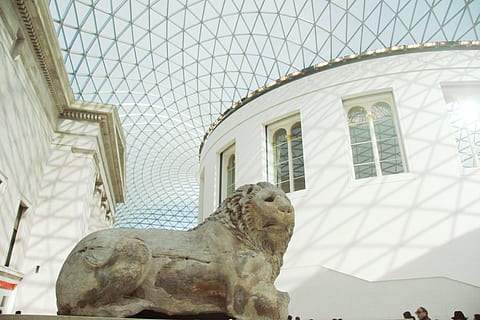 Gray Animal Statue Inside Building, architecture, art, british HD wallpaper
