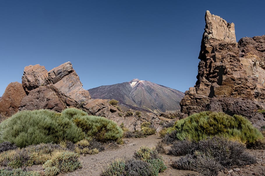 Mountains, arid, bushes, daylight, desert, geological formation HD wallpaper