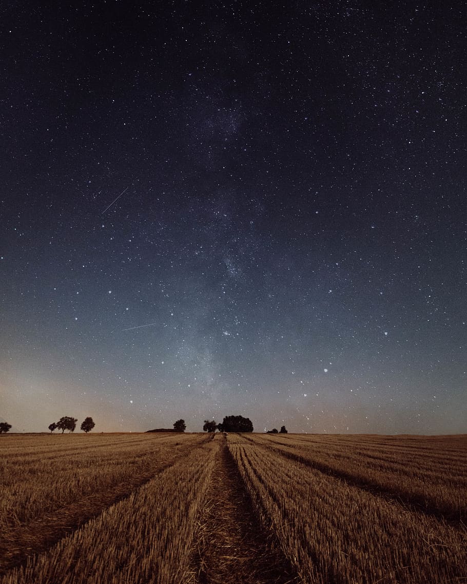 rice field under constellation, sky, scenics - nature, landscape HD wallpaper