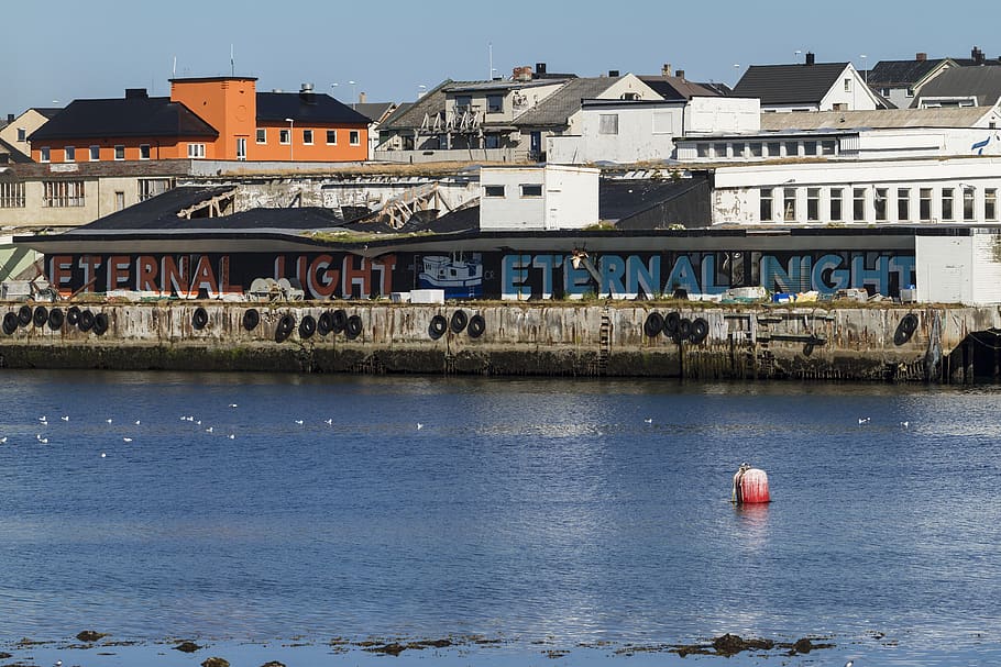norway, vardo, light, vardø, dock, water, birds, city, eternal HD wallpaper
