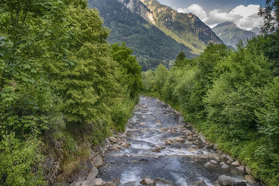 landscape, river, nature, mountains, trees, switzerland, plant HD wallpaper
