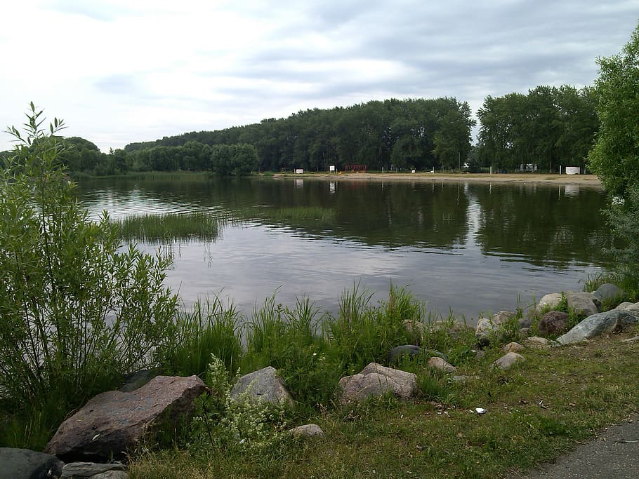 beach, summer, forest, lake, water, plant, tree, sky, tranquility HD wallpaper