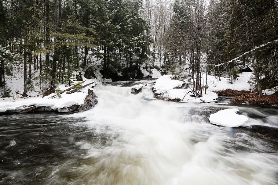 river, stream, water, rocks, outdoors, nature, forest, woods HD wallpaper