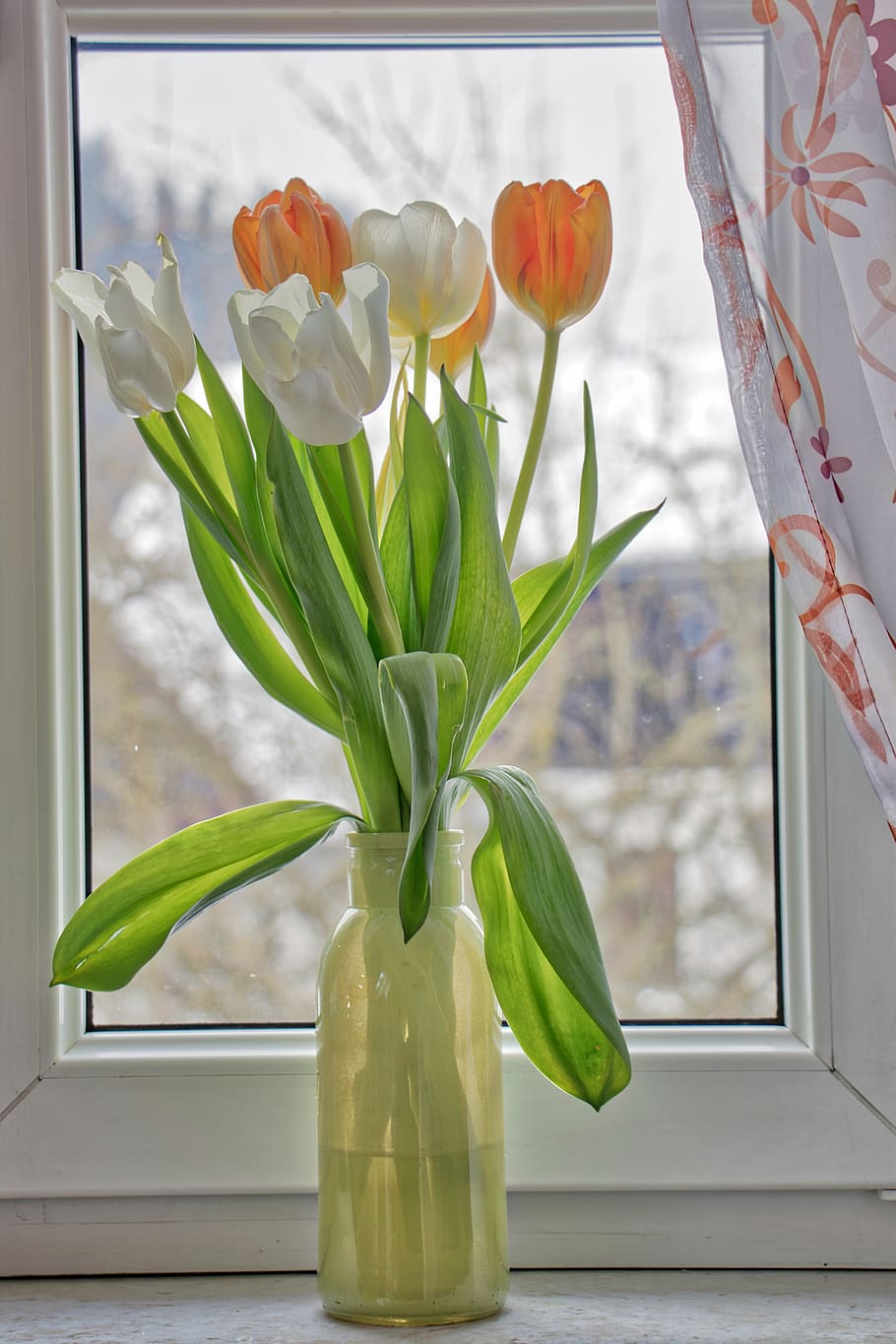 С добрым теплым весенним утром. Открытки с добрым утром весенние. Тюльпаны на окне. Доброго весенненнго дня.