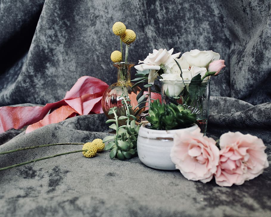 assorted-color flowers, flowering plant, beauty in nature, freshness HD wallpaper