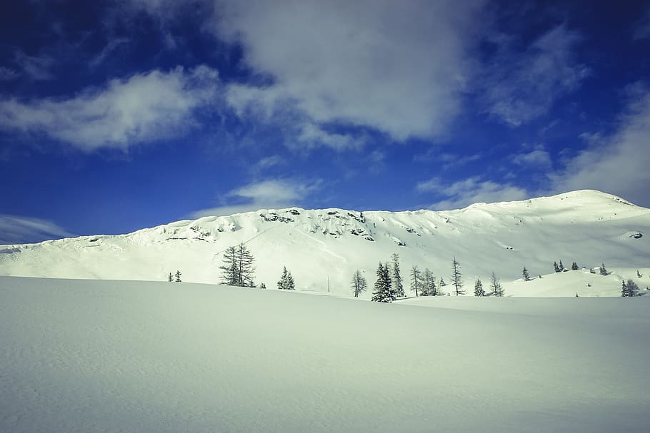 Green Pine Tree on White Snow Under Cloudy Blue Sky during Daytime HD wallpaper