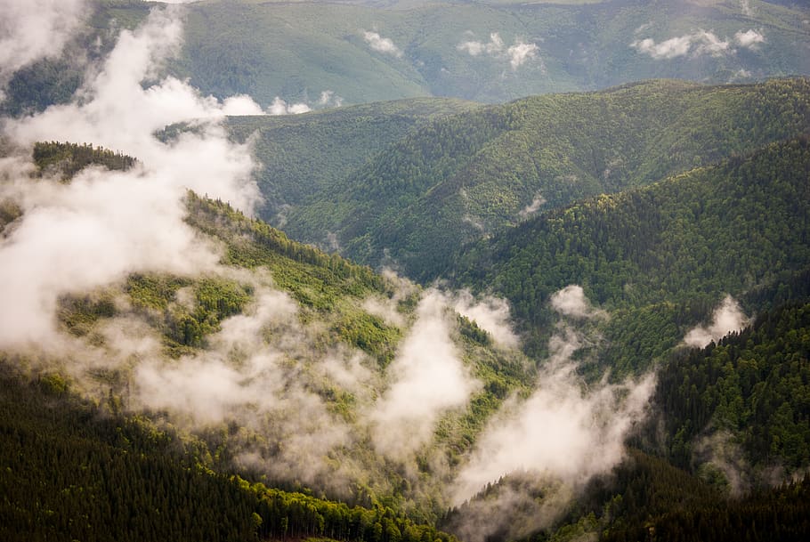 mountain, cloud, landscape, nature, green, forest, tree, fog HD wallpaper