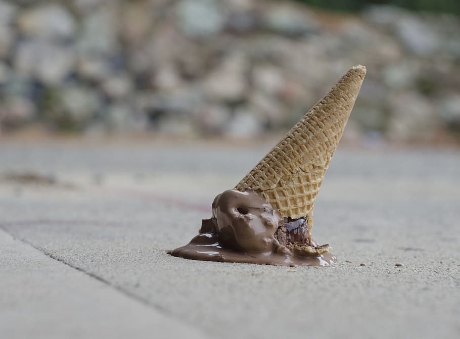 melt, icecream, animal wildlife, selective focus, day, animal themes HD wallpaper