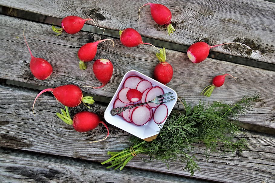 radish, dill, bio, vegetables, fresh, koper, nutrition, the freshness HD wallpaper