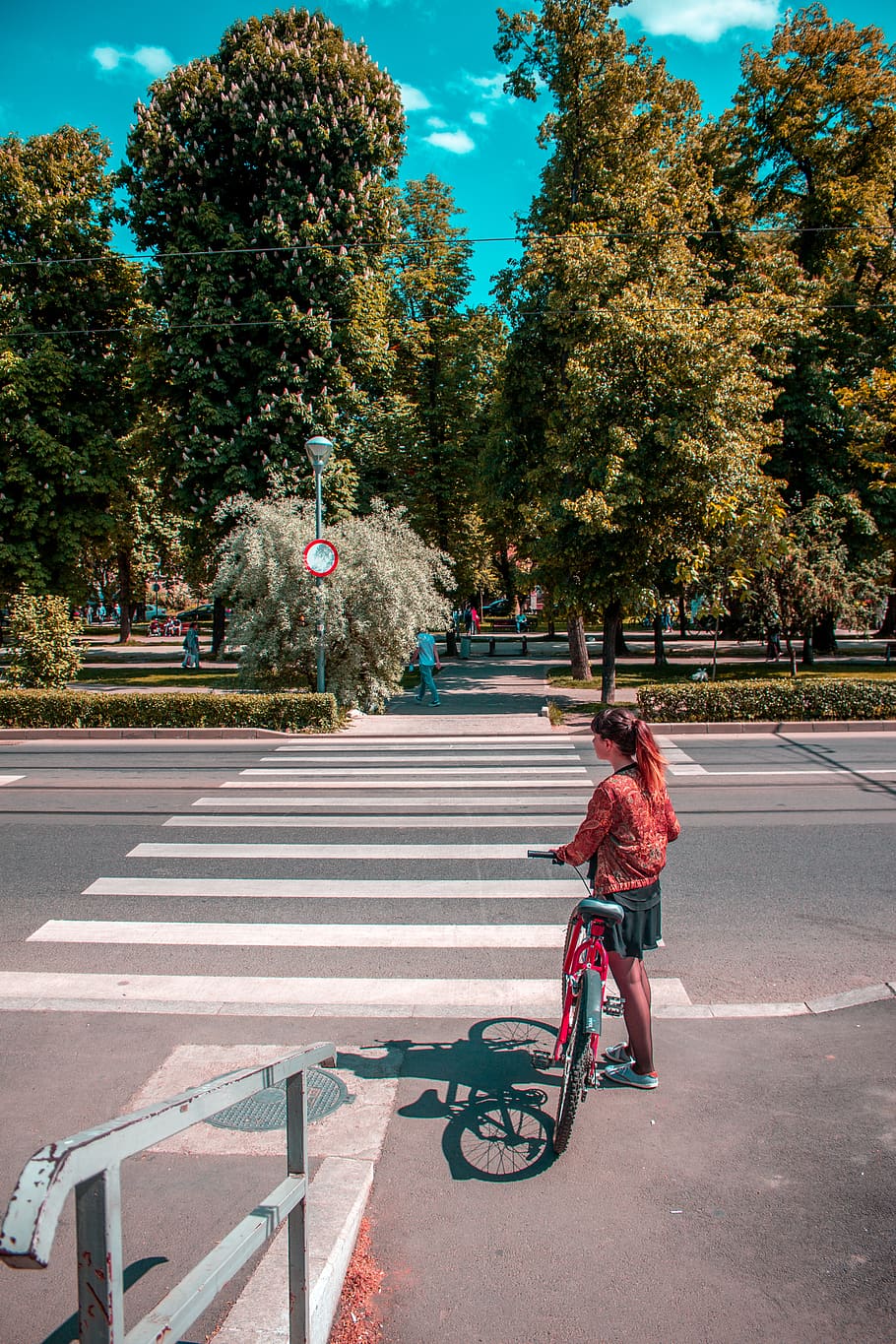 Pedestrian LAne, transportation, tree, real people, plant, bicycle HD wallpaper