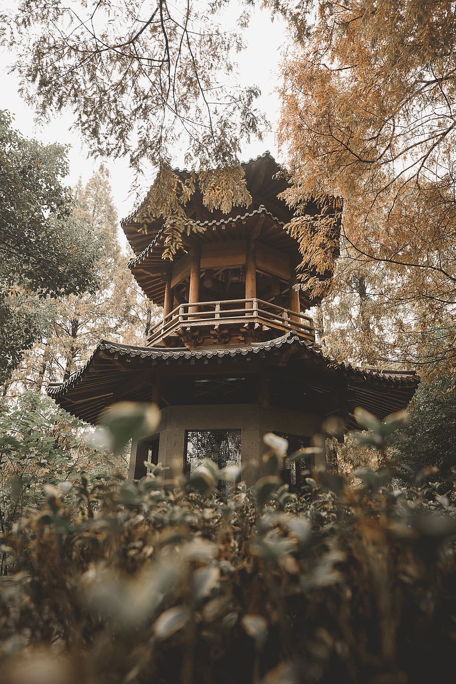 brown and gray tower surrounded with trees, architecture, built structure HD wallpaper