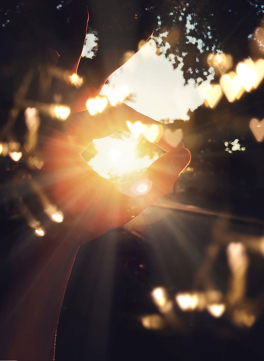 sunrays  person hand, blur, blurred background, bright, close-up HD wallpaper