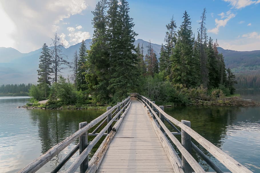 canada, pyramid island, water, tree, beauty in nature, scenics - nature HD wallpaper