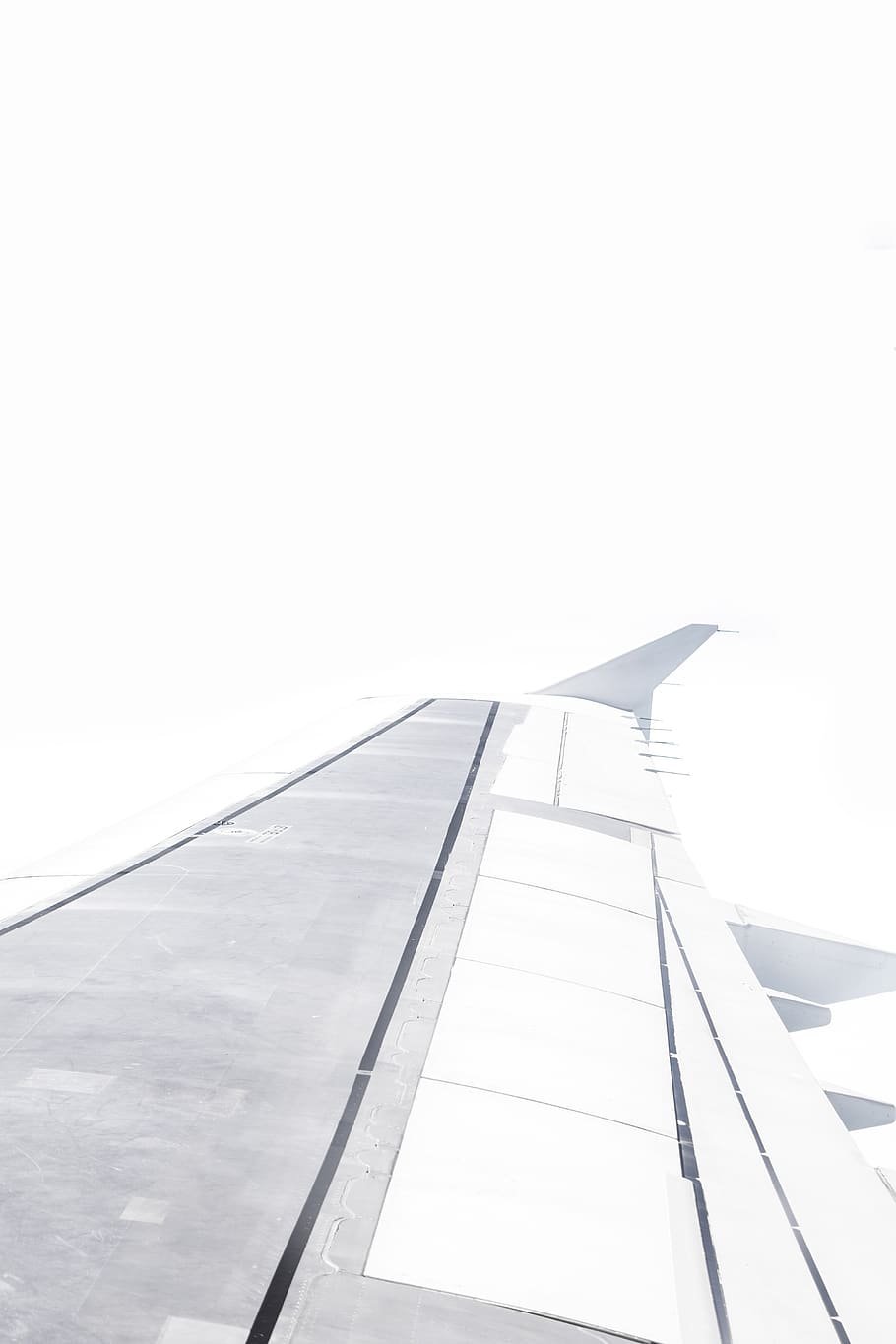 wing, monochrome, grey, sky, minimalism, flight, aeroplane HD wallpaper