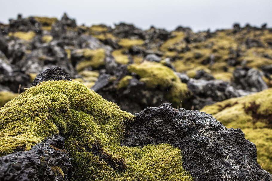iceland, moss, green, landscape, stones, rock, rock - object, HD wallpaper