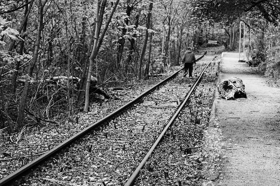 man, road, track, forest, road to nowhere, walk, rail transportation HD wallpaper