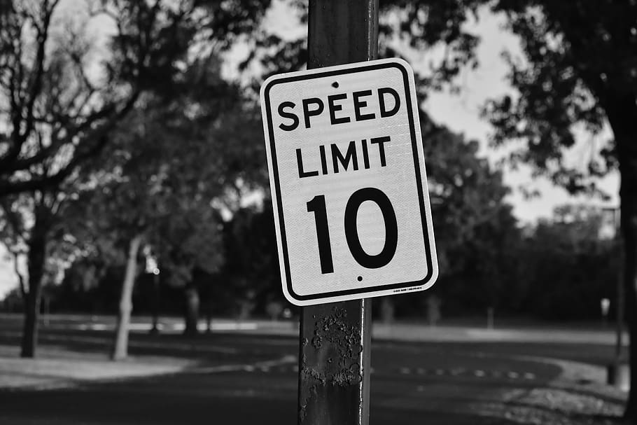 speed limit 10 signboard, symbol, road sign, tree, plant, text HD wallpaper