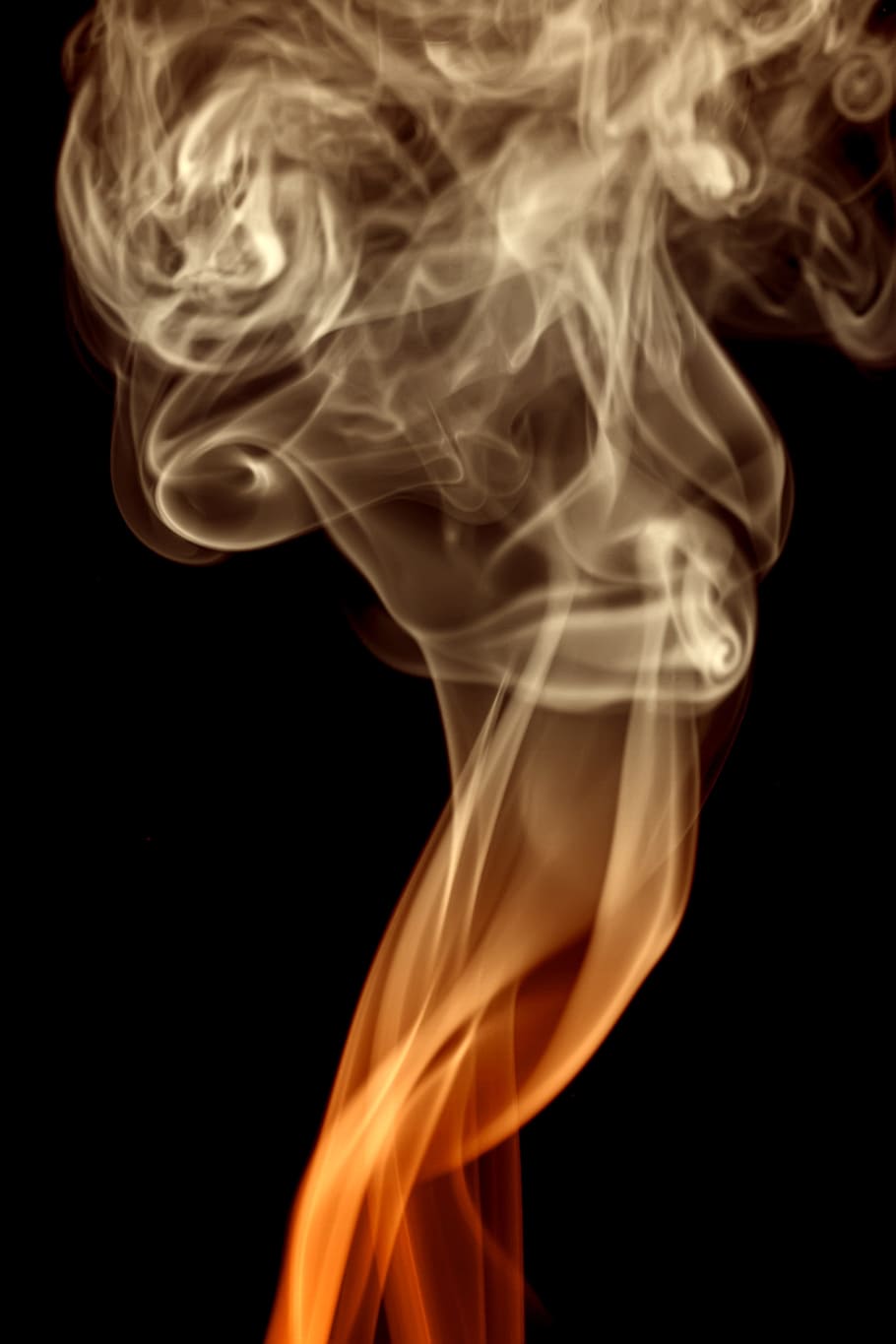 con2011, abstract, aroma, aromatherapy, background, color, smell HD wallpaper