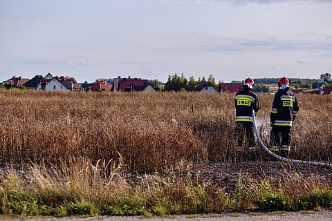 fire, field, anxiety, ash, burned, the destruction of the, fire department HD wallpaper