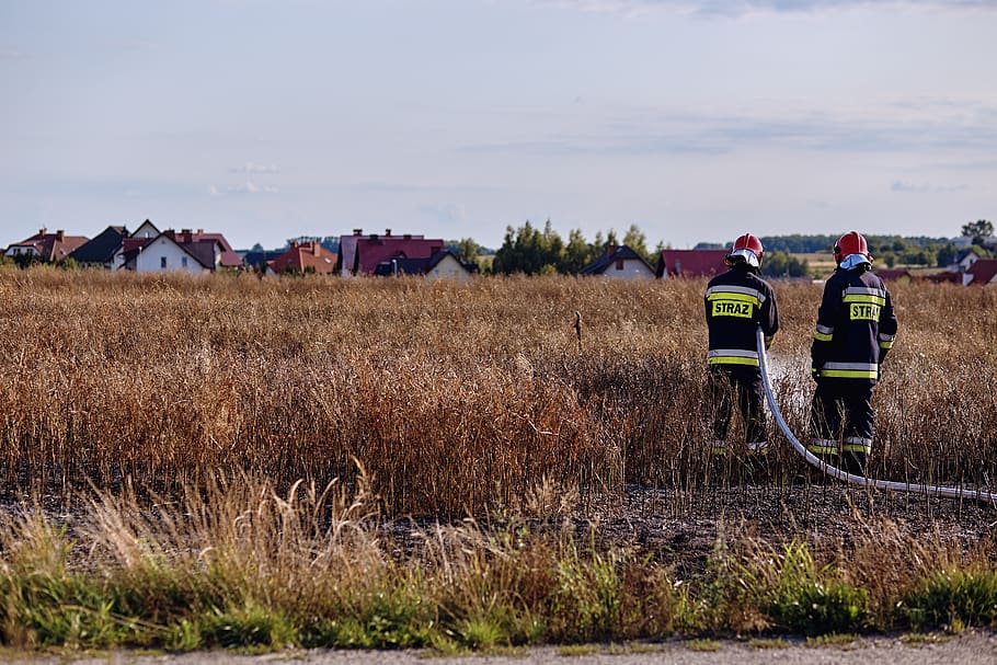 fire, field, anxiety, ash, burned, the destruction of the, fire department HD wallpaper
