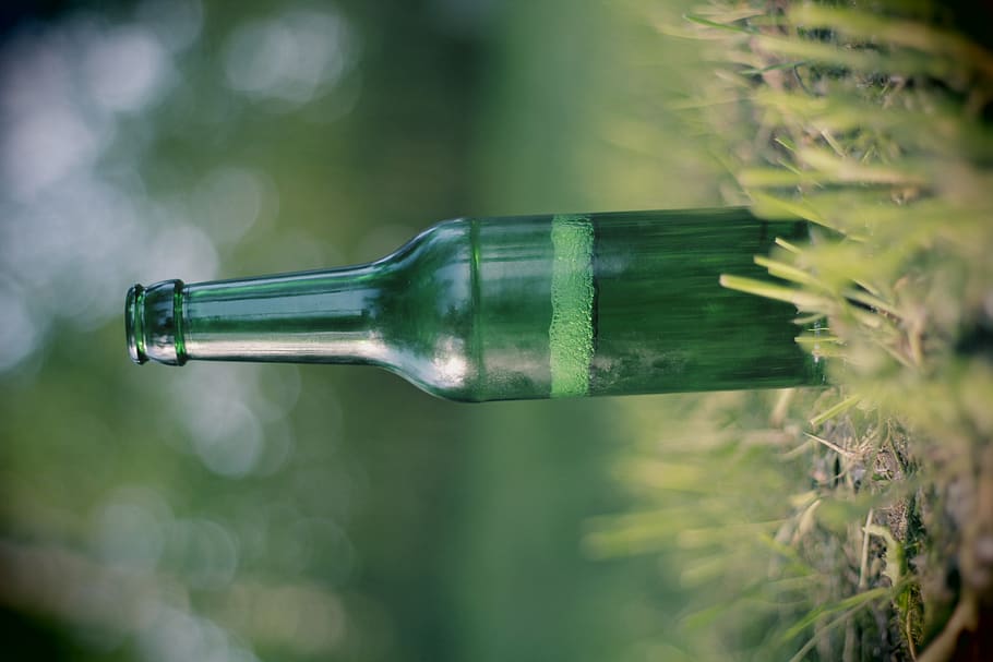 germany, elmshorn, nolabel, drink, grass, nature, beer, all HD wallpaper