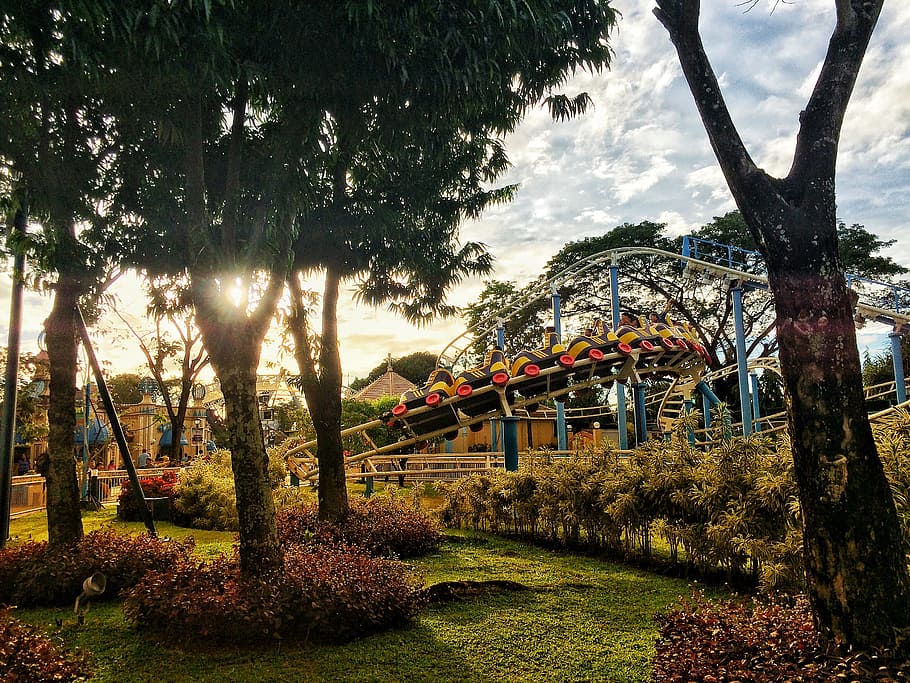 Roller Coaster Ride Near Trees Under Blue Clouds, big trees, grass, HD wallpaper