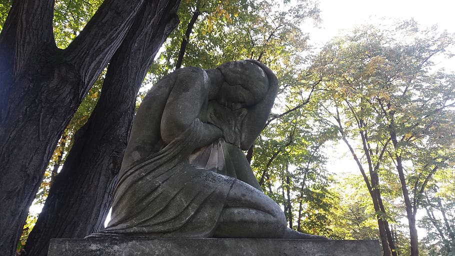 serbia, belgrade, tree, sculpture, art and craft, plant, statue HD wallpaper