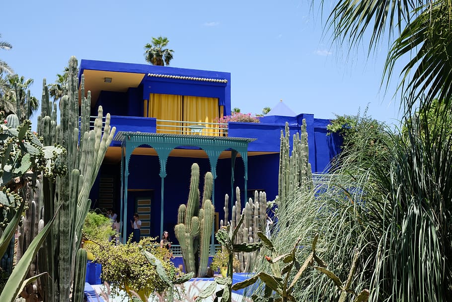 blue house surrounded with plants, tree, built structure, architecture HD wallpaper