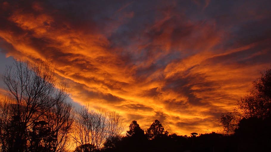 color, nature, cloudy, sunset, sky, cloud - sky, tree, beauty in nature HD wallpaper