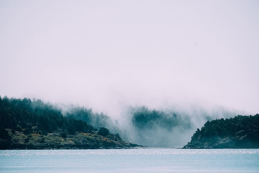 lake, water, trees, landscape, nature, fog, clouds, grey, outdoors HD wallpaper