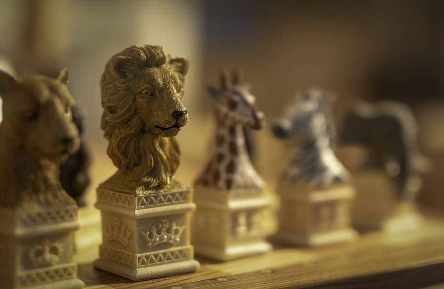 figurine, chess, game, animal, dog, pet, mammal, canine, lion, HD wallpaper