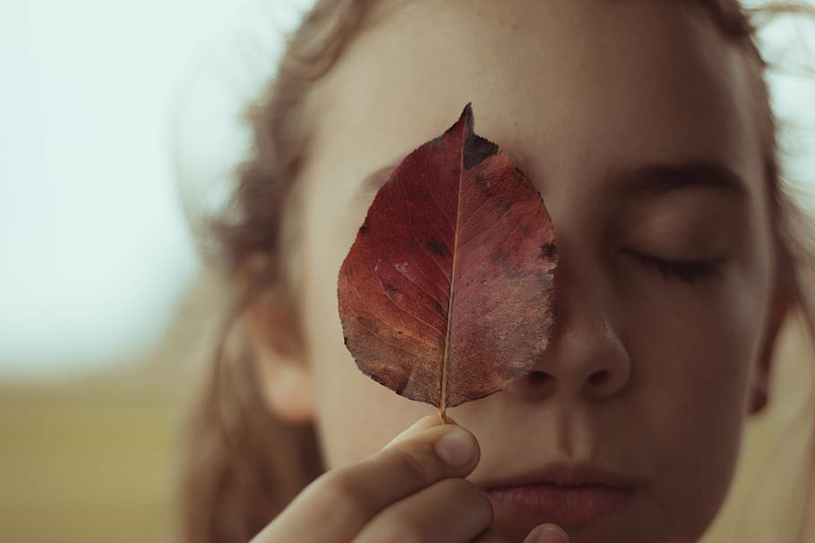 woman covering right eye using leaf, plant, human, person, skin HD wallpaper