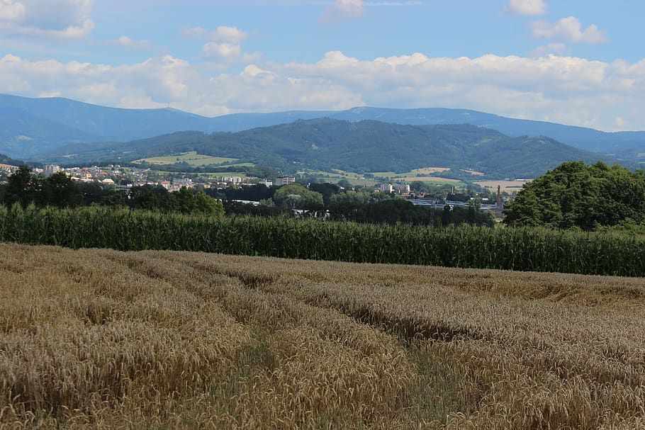 field, mesto, mountains, landscape, nature, sky, environment HD wallpaper