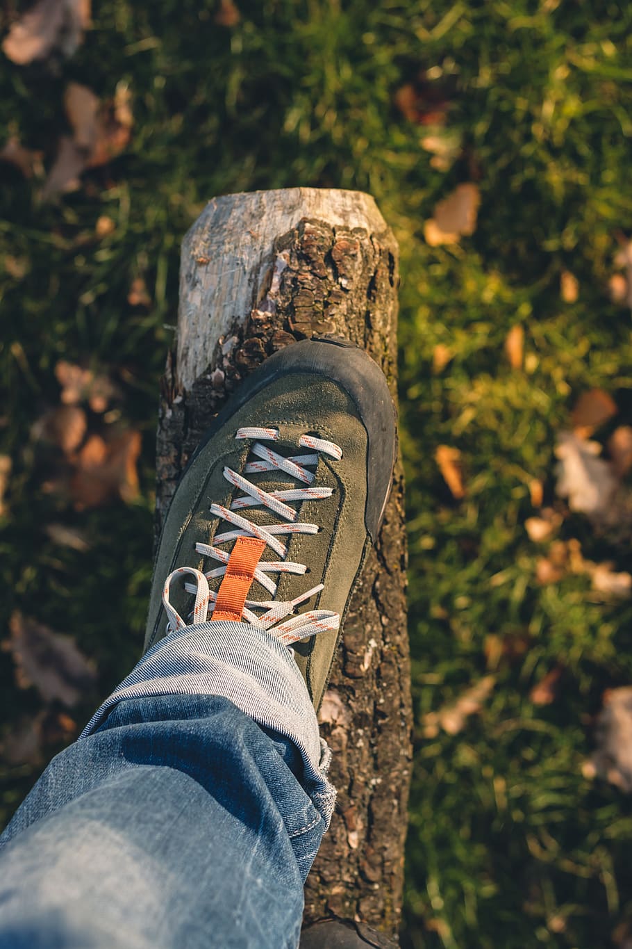 shoe, hiking, tree, shoelace, branch, hike, foot, jeans, grass HD wallpaper
