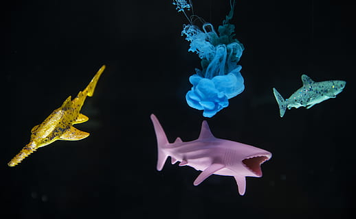 Three Assorted-color Sharks Digital Wallpaper, animals, black background HD wallpaper