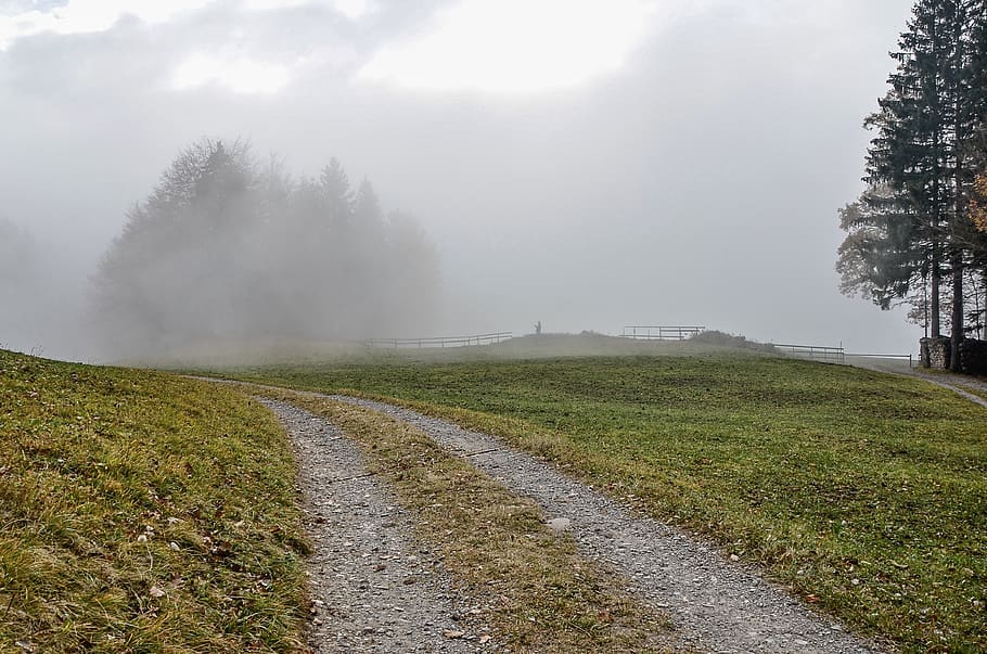 fog, landscape, trees, haze, hill, hiking, mood, nature, autumn HD wallpaper
