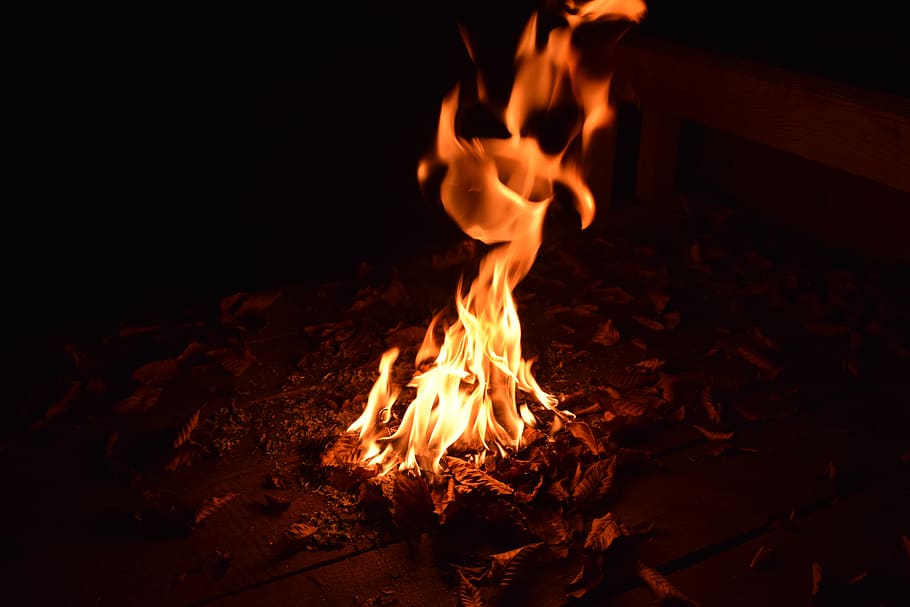 Burning leaves